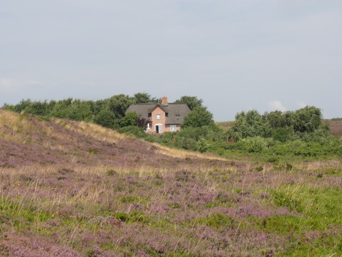 Wattlandschaft in Braderup